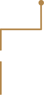 linea